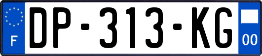 DP-313-KG