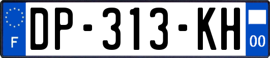 DP-313-KH