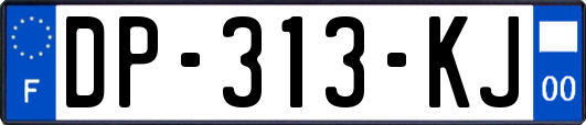 DP-313-KJ