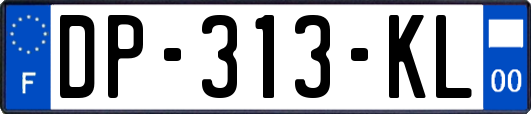 DP-313-KL