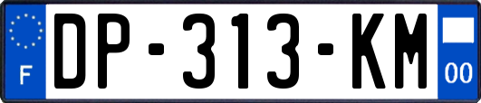 DP-313-KM