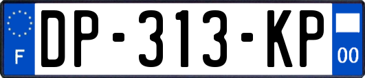 DP-313-KP