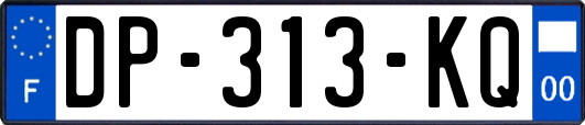 DP-313-KQ