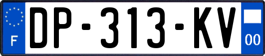 DP-313-KV