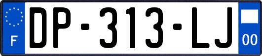 DP-313-LJ