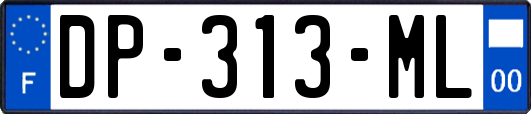 DP-313-ML