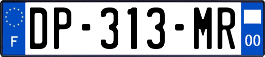 DP-313-MR
