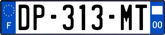 DP-313-MT
