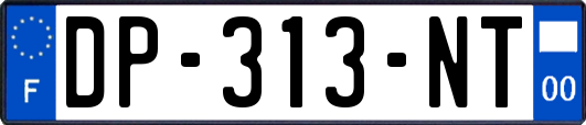 DP-313-NT