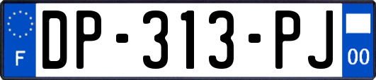DP-313-PJ