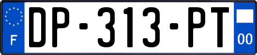 DP-313-PT