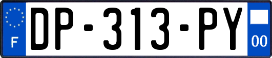 DP-313-PY