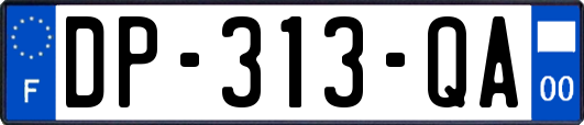 DP-313-QA