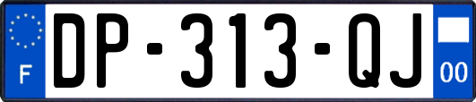 DP-313-QJ