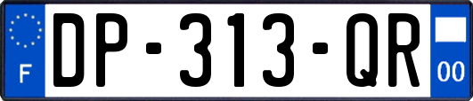 DP-313-QR