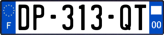 DP-313-QT