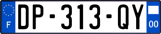 DP-313-QY