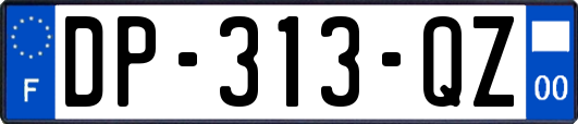DP-313-QZ