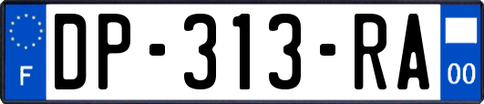 DP-313-RA