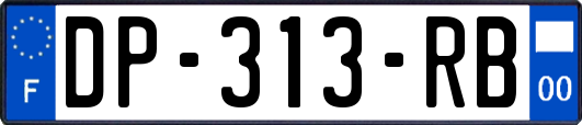 DP-313-RB