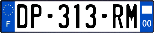 DP-313-RM