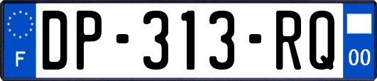 DP-313-RQ