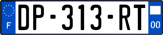 DP-313-RT