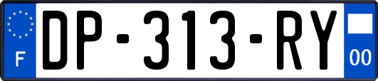 DP-313-RY