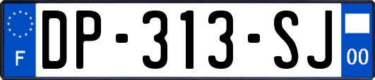 DP-313-SJ