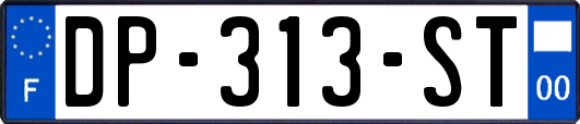 DP-313-ST