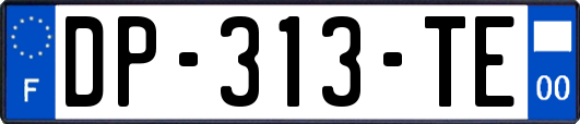 DP-313-TE