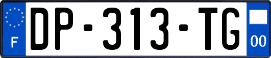 DP-313-TG