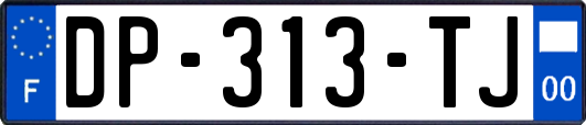 DP-313-TJ
