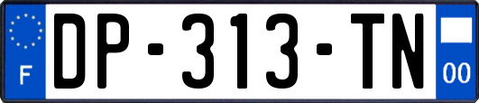 DP-313-TN
