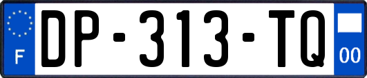 DP-313-TQ