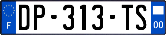 DP-313-TS