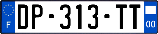 DP-313-TT