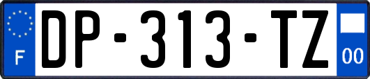 DP-313-TZ