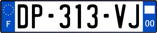 DP-313-VJ