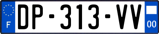 DP-313-VV