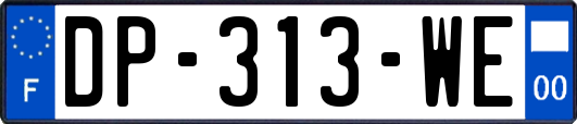 DP-313-WE