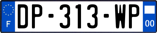 DP-313-WP