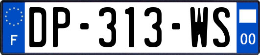 DP-313-WS