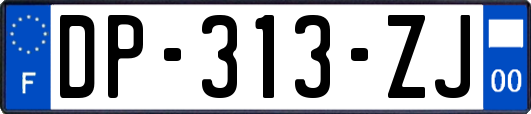 DP-313-ZJ