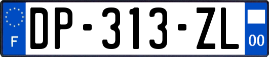 DP-313-ZL