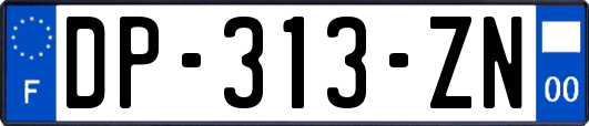 DP-313-ZN