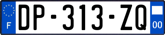 DP-313-ZQ