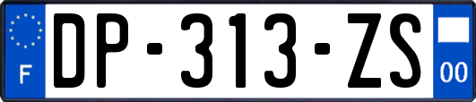 DP-313-ZS