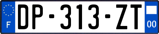 DP-313-ZT