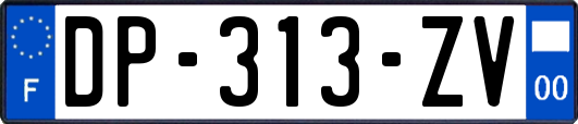 DP-313-ZV